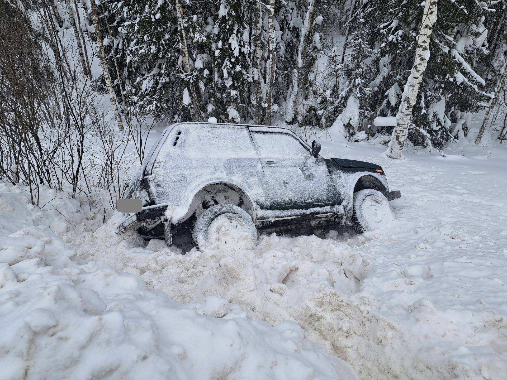 На трассе в Орловском районе опрокинулся автомобиль