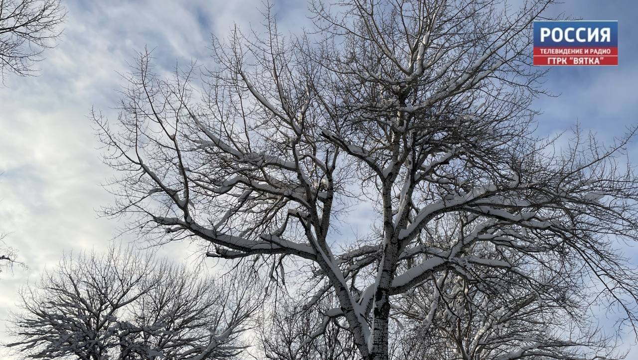В среду в Кировской области возможен небольшой снег
