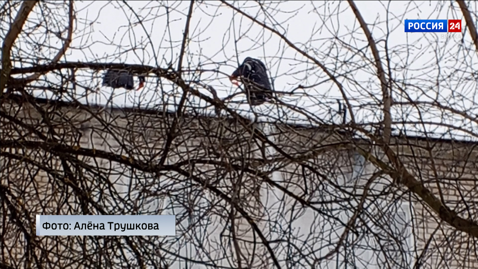 В Яранске продолжают устранять последствия обрушения части кровли дома на улице Гоголя