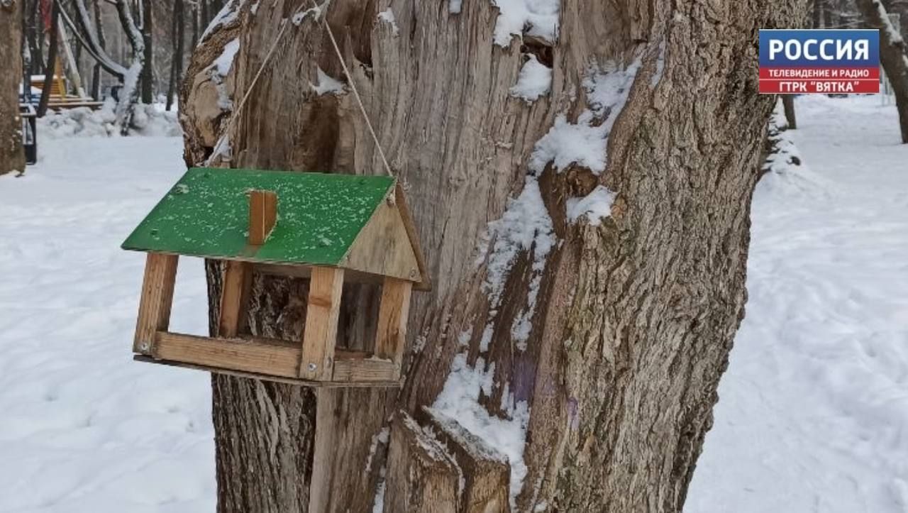 В регионе подвели итоги акции «Всероссийская перепись воробьев»