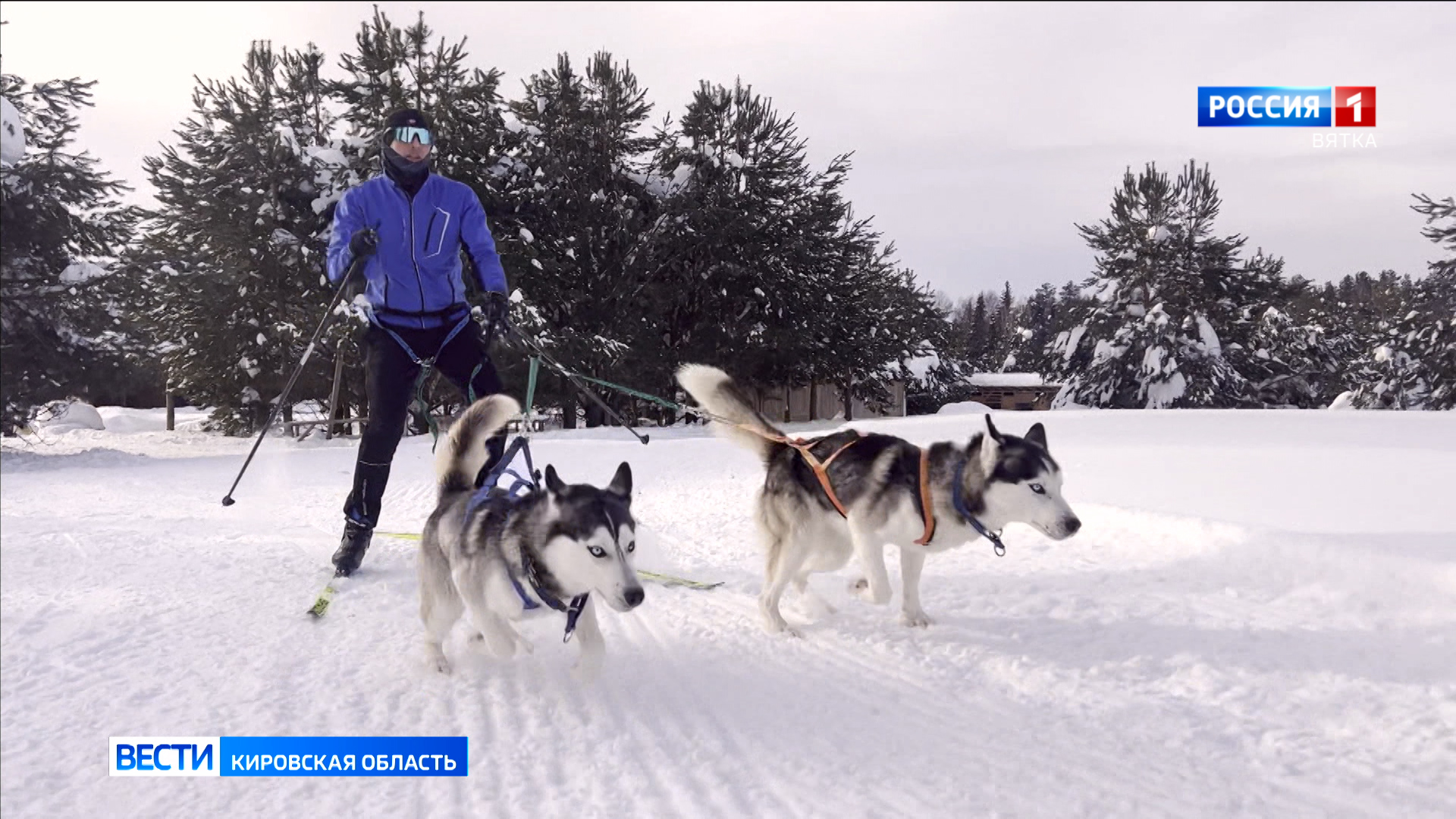 Кировчанин победил в Удмуртии в гонке на собачьих упряжках