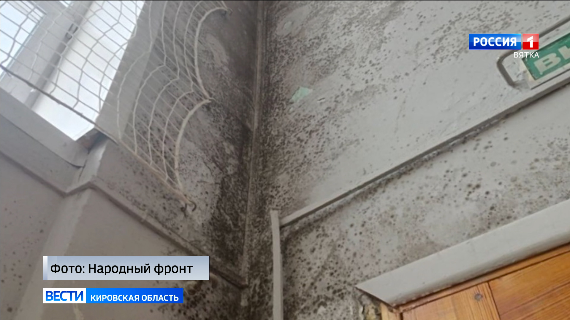 Александр Бастрыкин запросил информацию по ненадлежащему содержанию школы в Котельниче