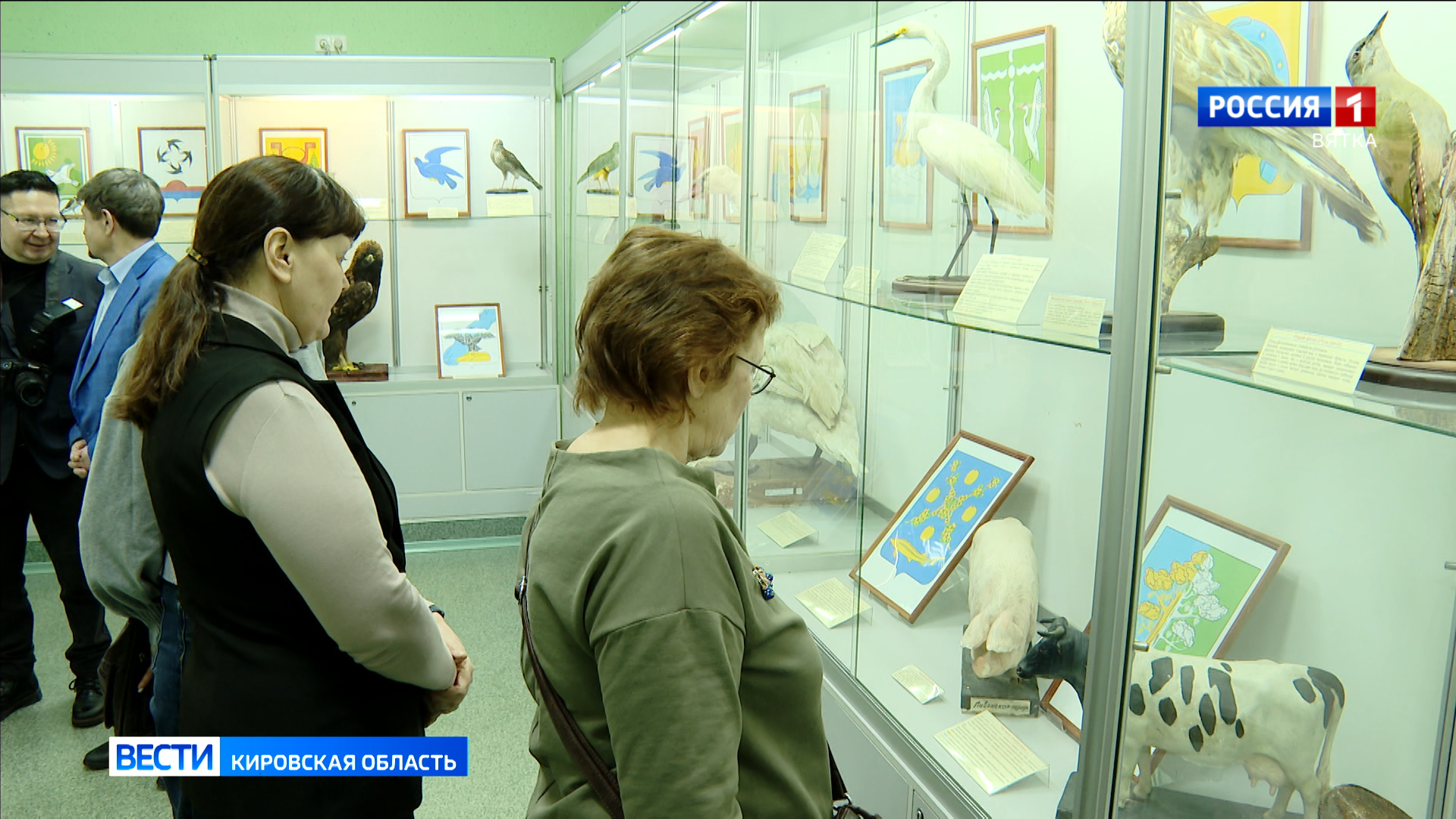 В зоологическом музее Кирова открылась выставка о животных и птицах на гербах районов Кировской области