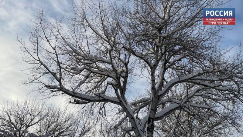 В пятницу в Кирове прогнозируют 0°C и мокрый снег на протяжении всего дня