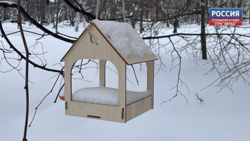 В субботу в Кировской области ожидается мокрый снег