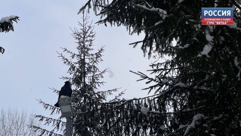 Во вторник в Кирове обещают морозную погоду до -21 и снег