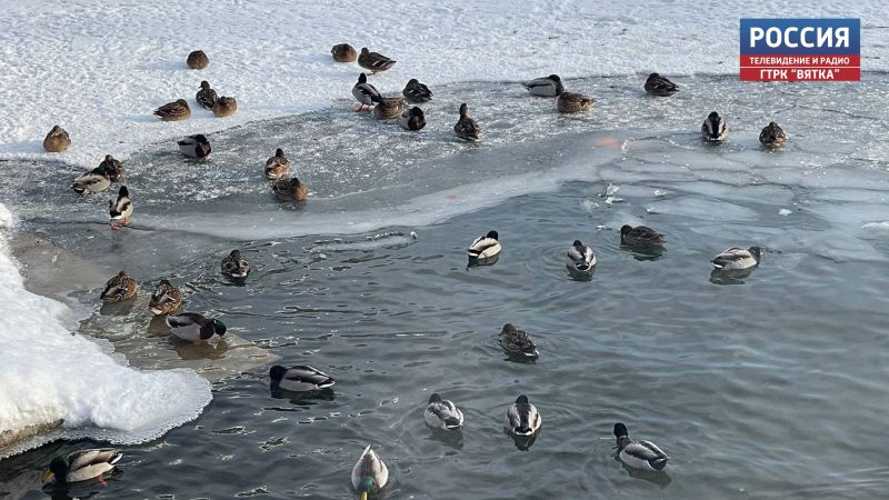 В среду в Кировской области обещают до -22 градусов