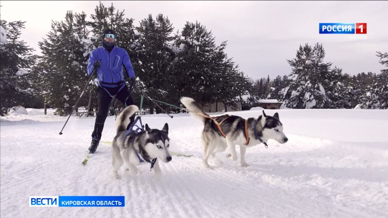 Кировчанин победил в Удмуртии в гонке на собачьих упряжках