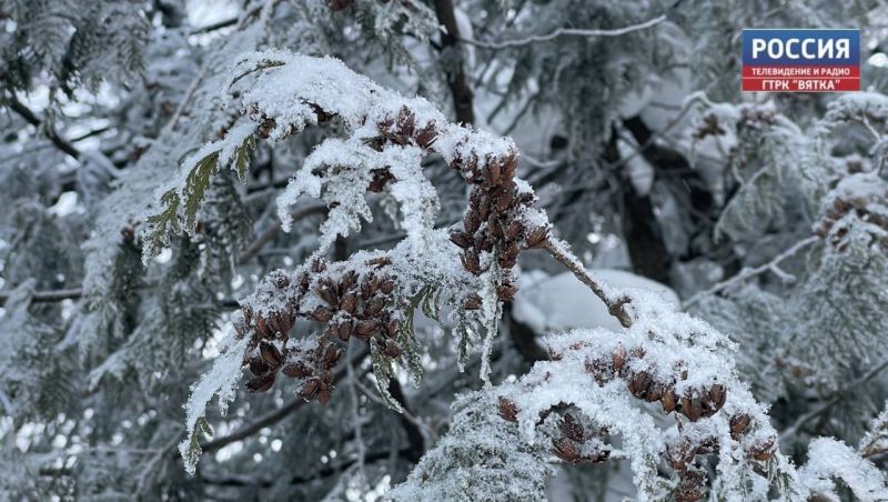 Во вторник в Кирове обещают -14 и возможен снег