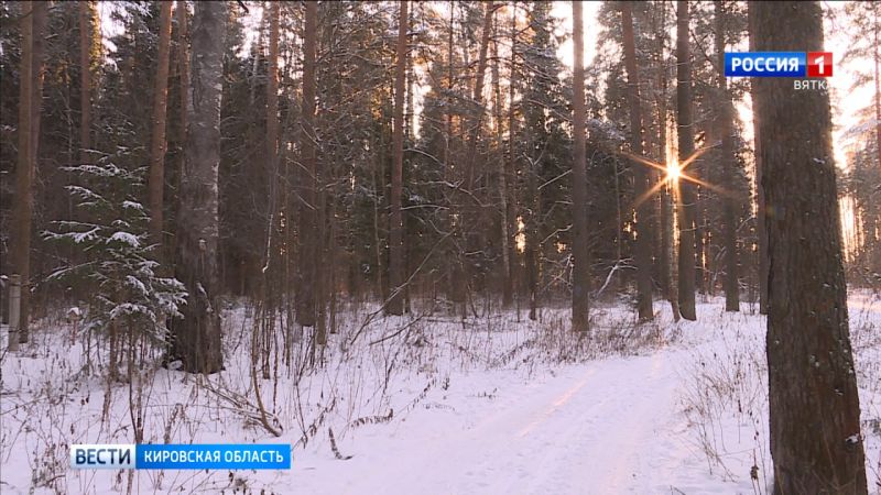 В субботу в Кировской области ожидается небольшой снег