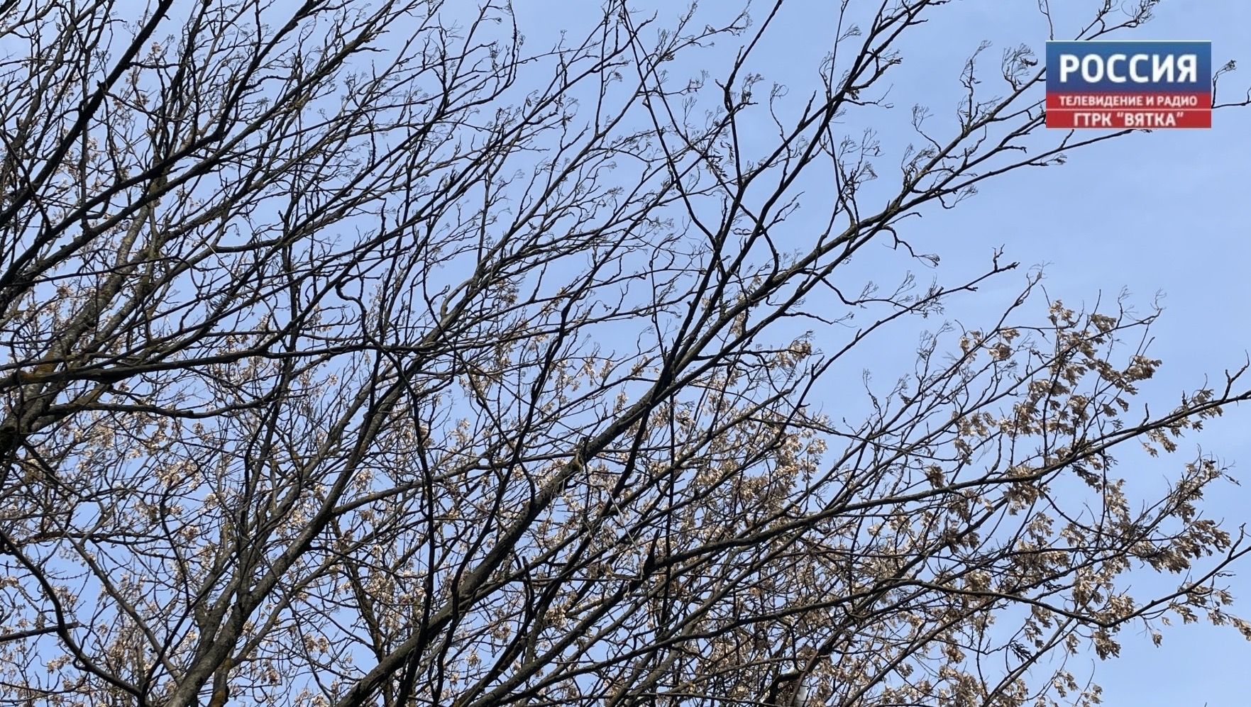 В пятницу в Кировской области - ранняя весна: днем до  7