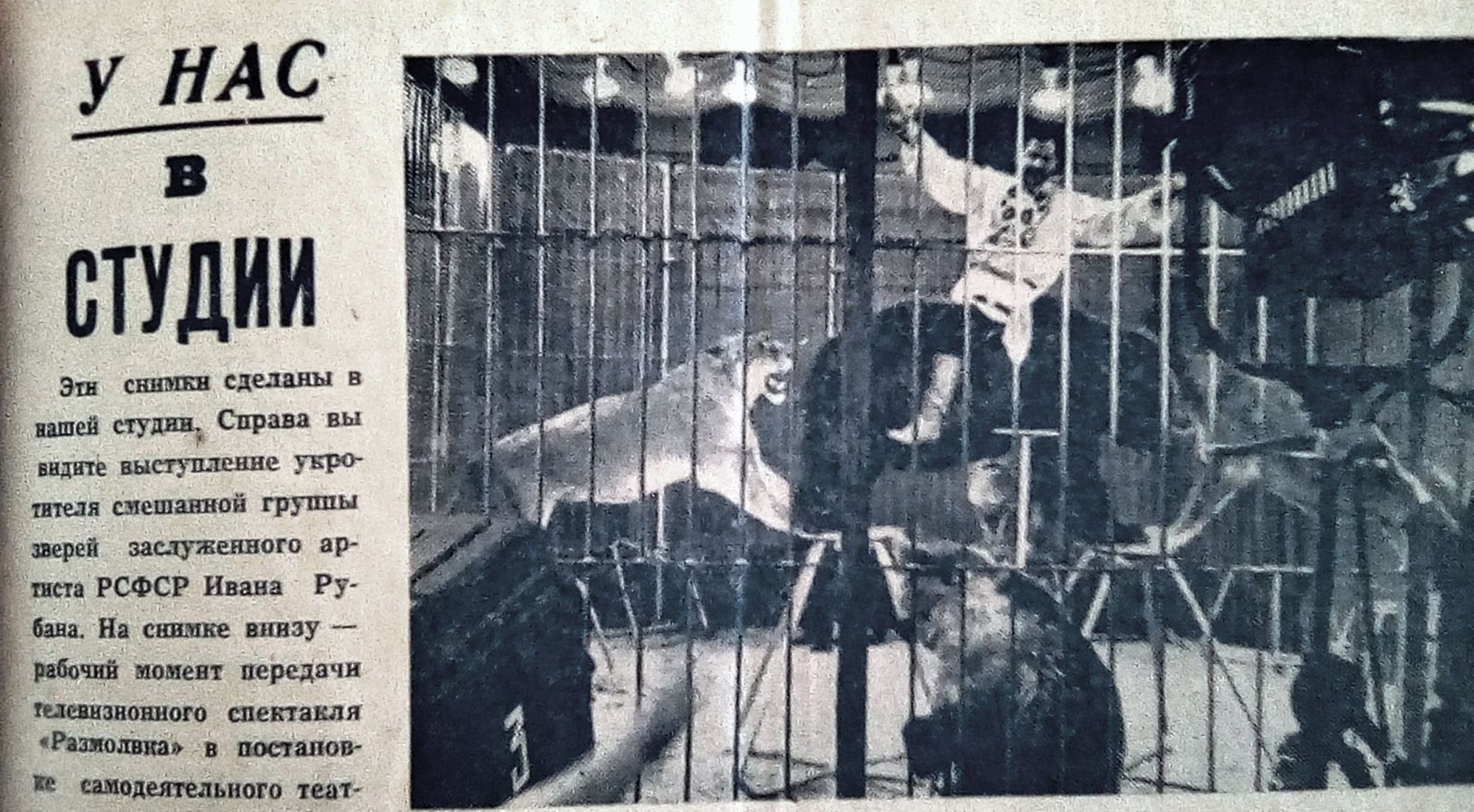 ЦИРК В СТУДИЮ!