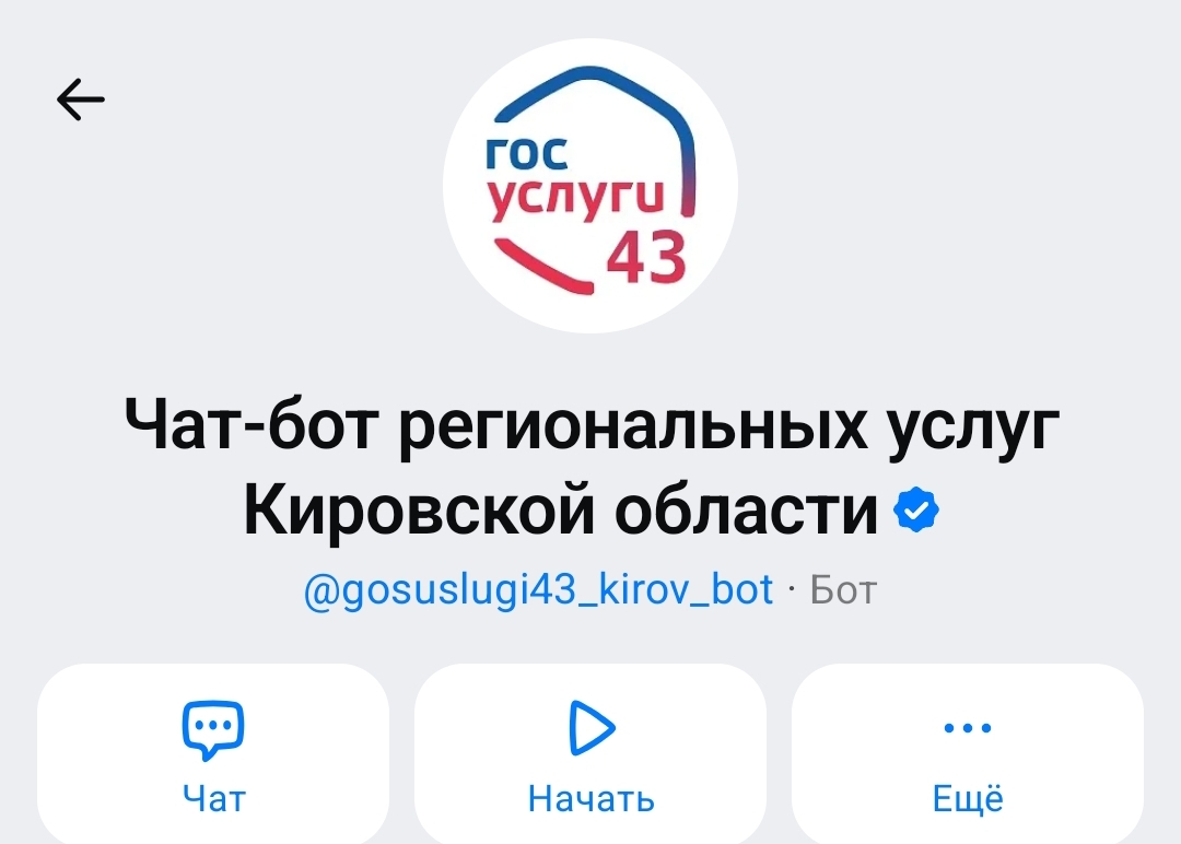В мессенджере MAX сделали чат-бота региональных услуг