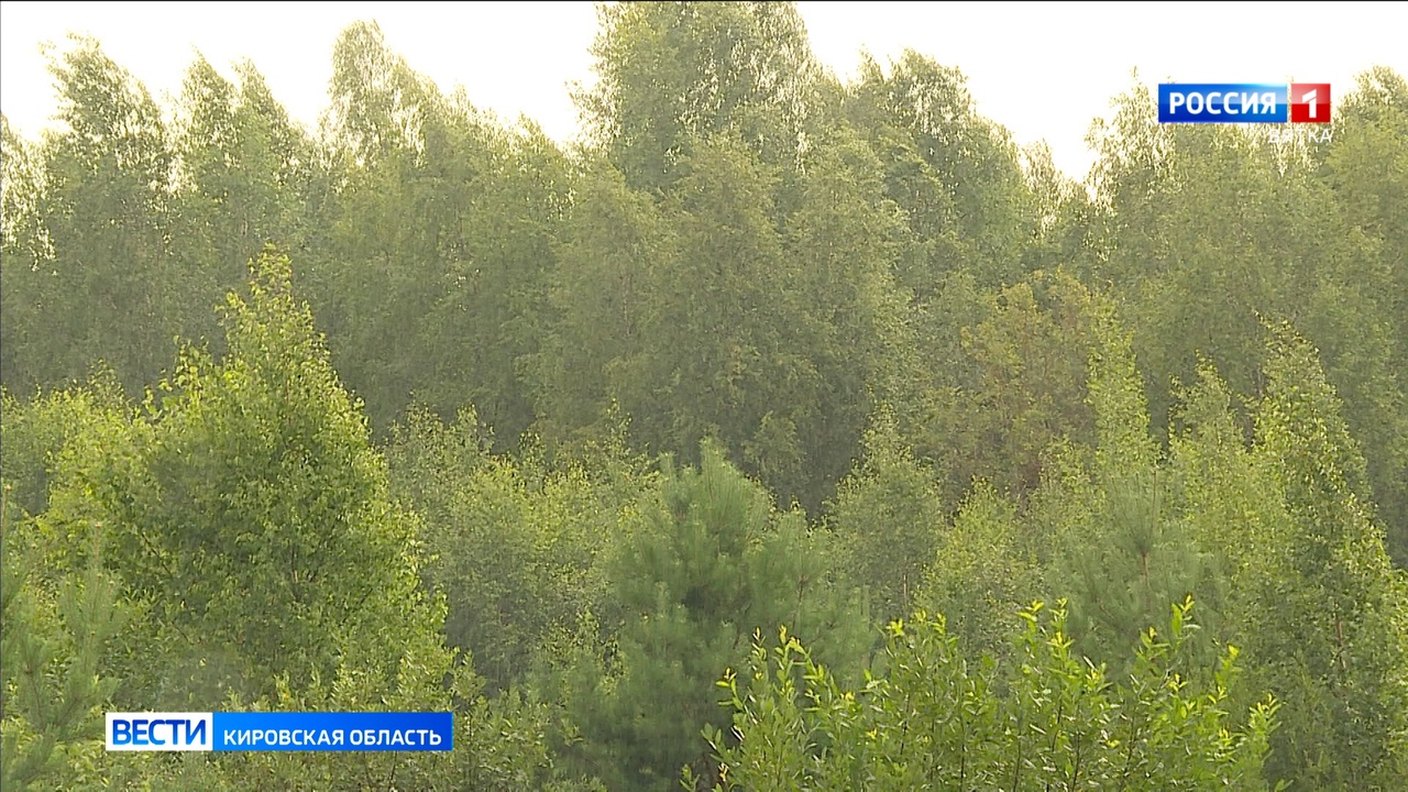 В минэкологии Кировской области рассказали о выдаче разрешений на охоту в весенне-летний сезон