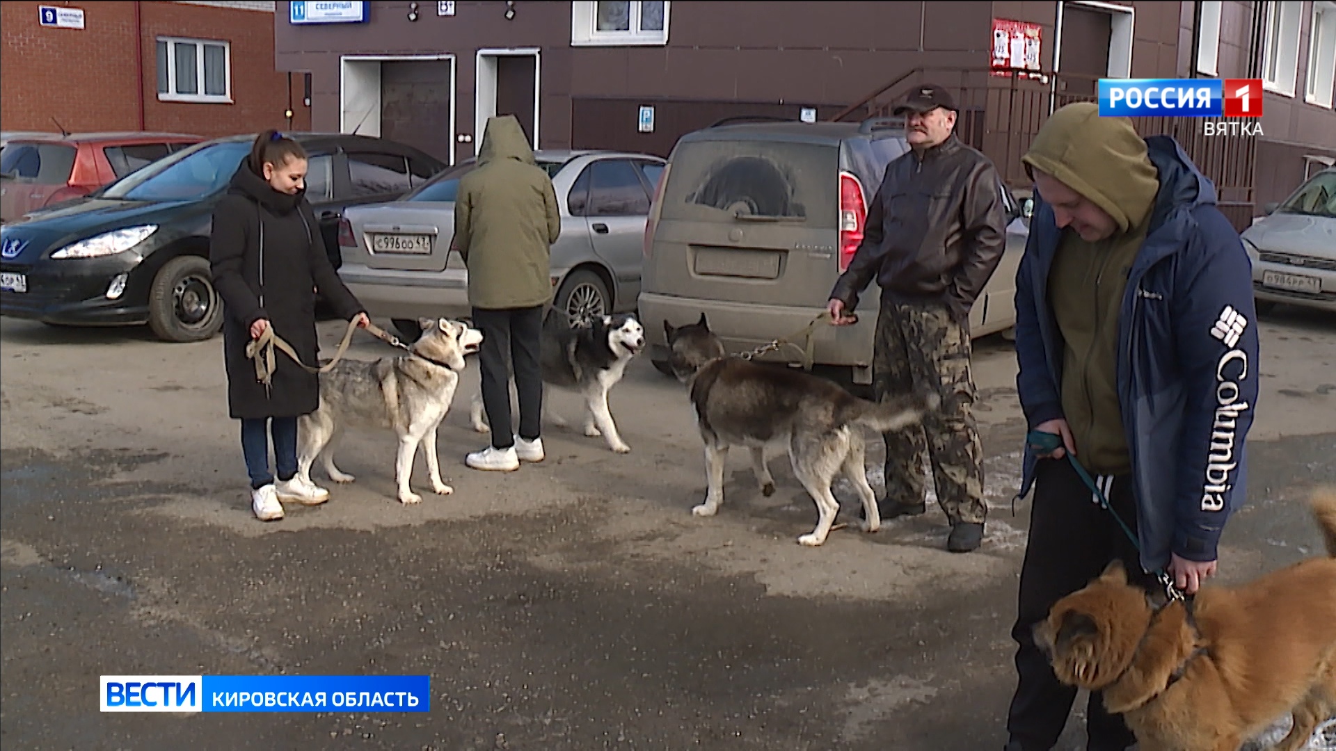 Кировчане смогут привить питомцев от бешенства в мобильных пунктах вакцинации