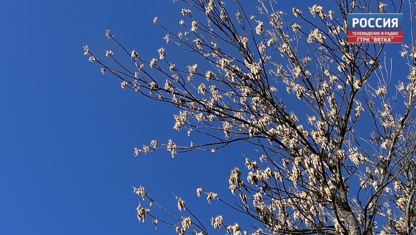 В пятницу в Кирове до  11 и может пойти дождь