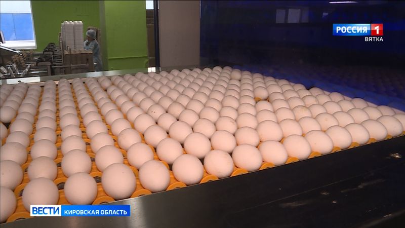 В Кировской области проверят обоснованность роста цен на куриные яйца