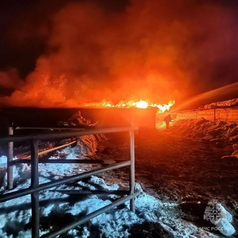 В Унинском округе из пожара спасли 180 коров
