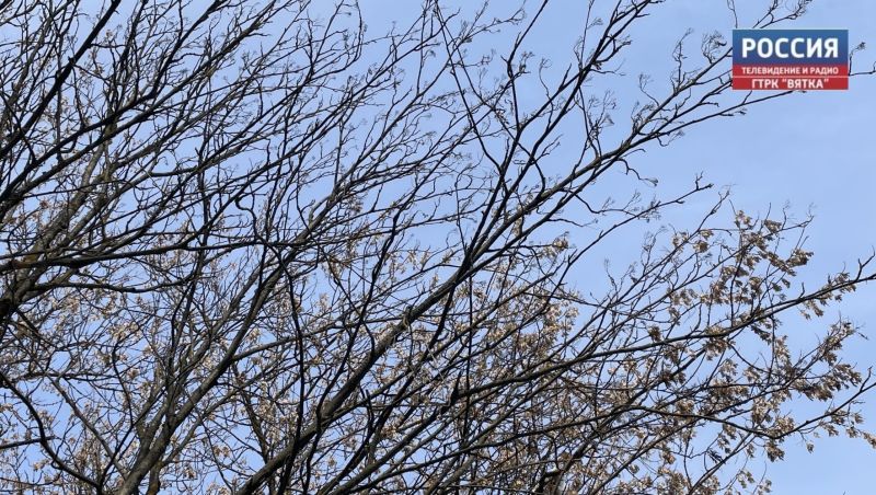 В пятницу в Кировской области - ранняя весна: днем до  7