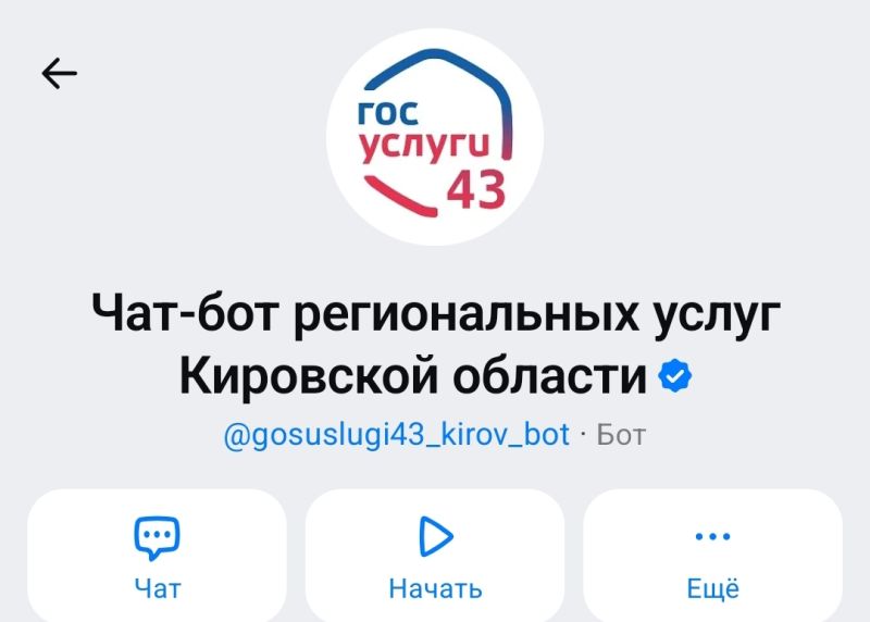 В мессенджере MAX сделали чат-бота региональных услуг