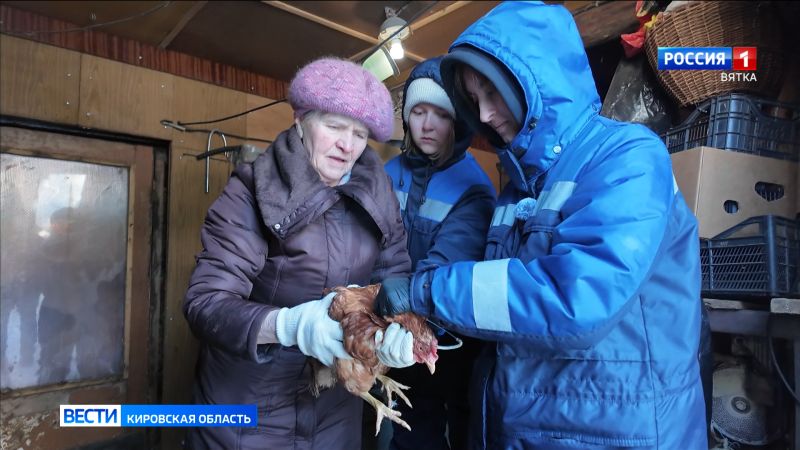 В Кировской области началась массовая вакцинация домашних птиц