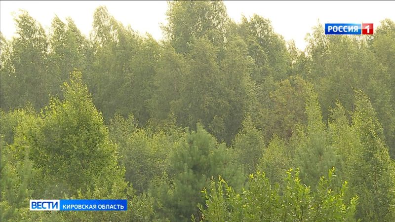 В минэкологии Кировской области рассказали о выдаче разрешений на охоту в весенне-летний сезон