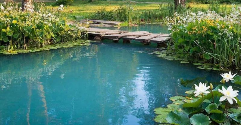 В деревне Каркино Кирово-Чепецкого района будет восстановлен свободный доступ к пруду