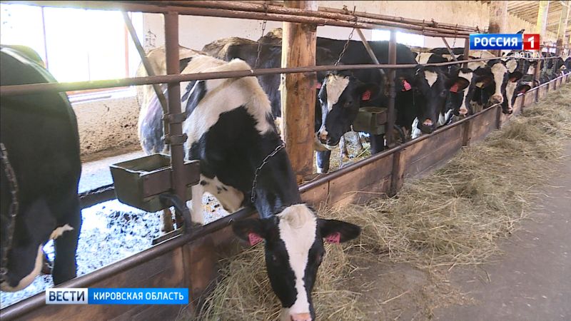 Переработчики молока в Кировской области могут рассчитывать на новые меры господдержки