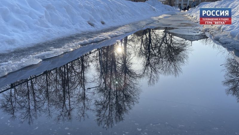 До  10 °C прогнозируют в Кировской области в субботу