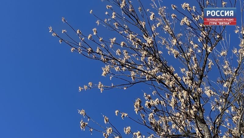 В пятницу в Кирове до  11 и может пойти дождь