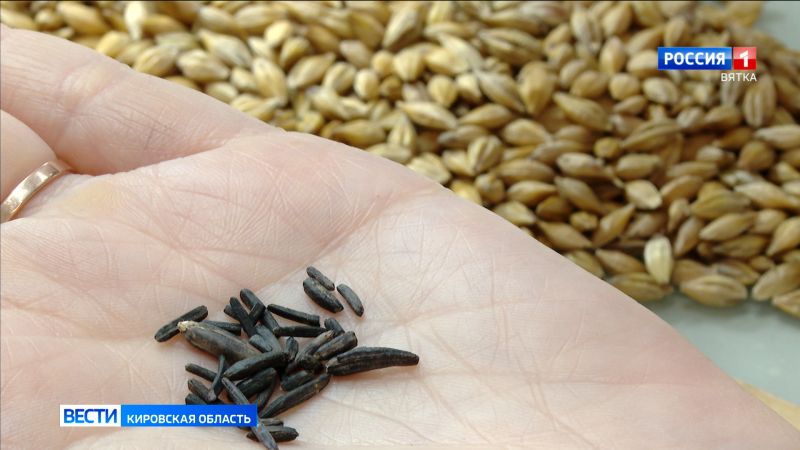 В Кировской области аграрии начали подготовку к весенним полевым работам