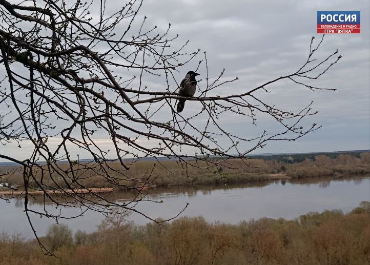 На реках Кировской области продолжается ледоход и подъём уровня воды