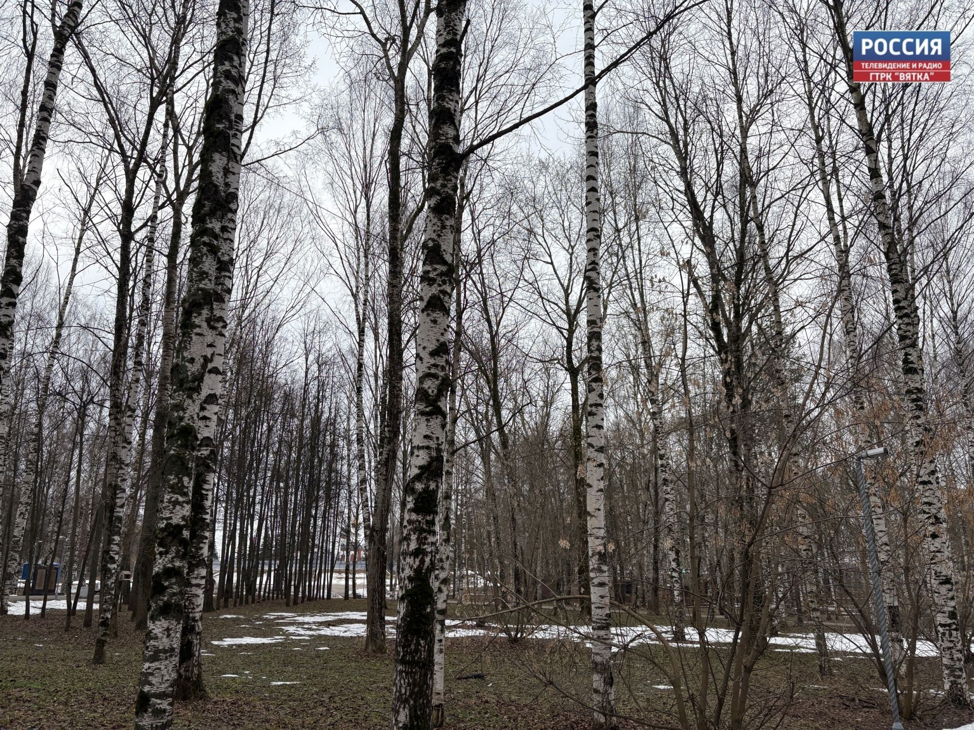 В субботу в Кировской области начнет теплеть и будет выглядывать солнце