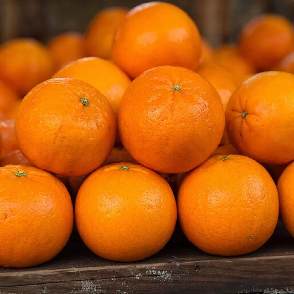 В Кирове выявили зараженные египетские апельсины