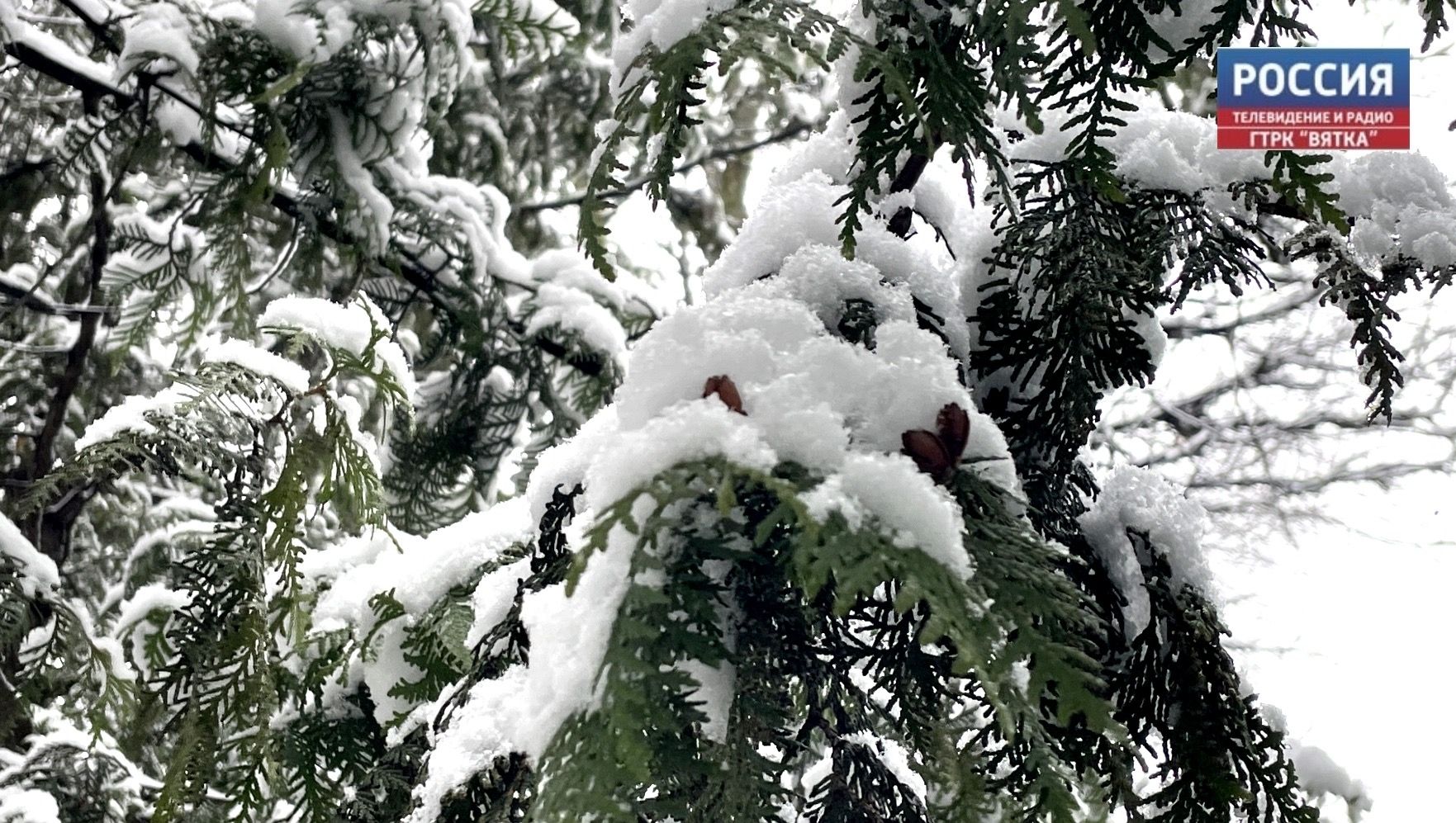 Слегка потеплеет: в среду в Кирове до  6 и небольшой снег