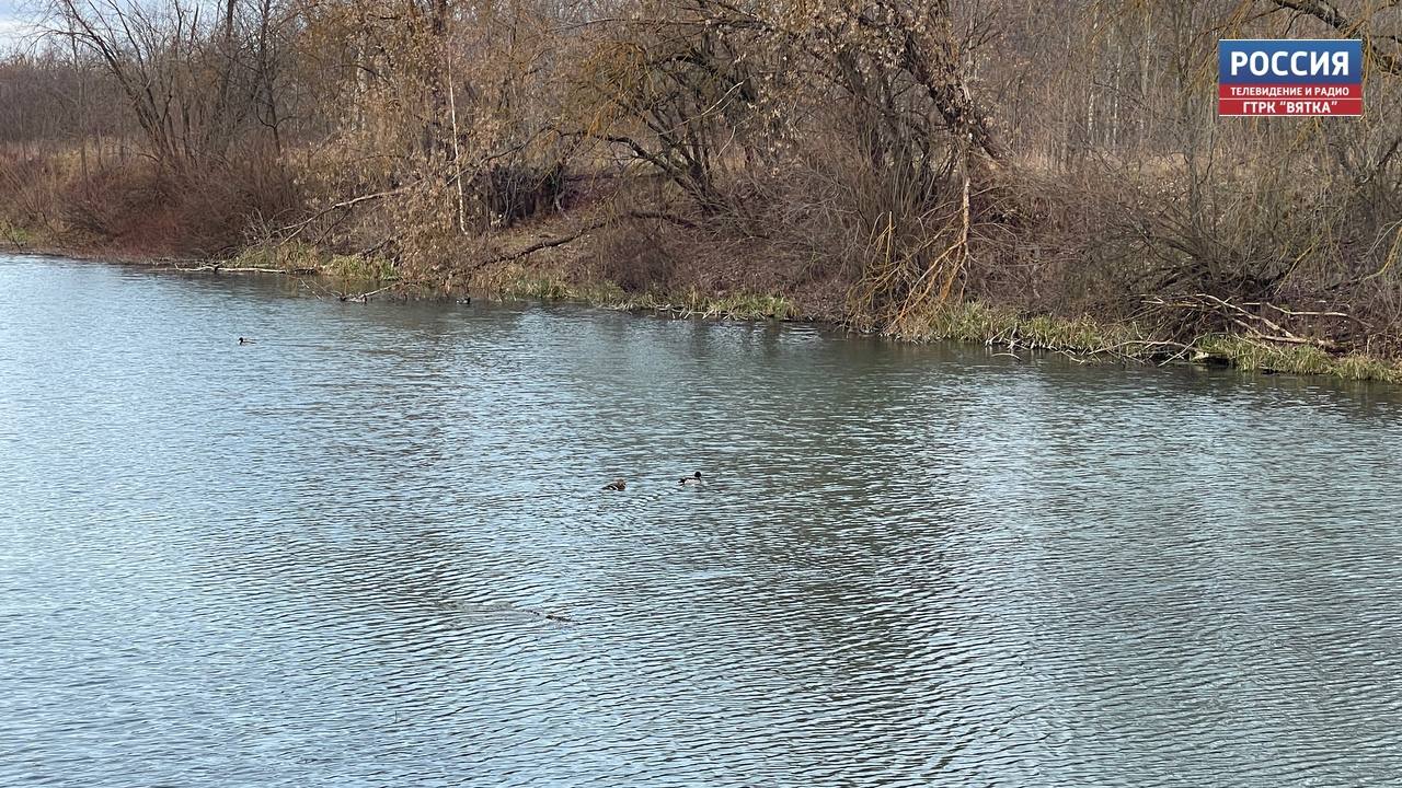 На берегу Люльченки пройдет экологический субботник