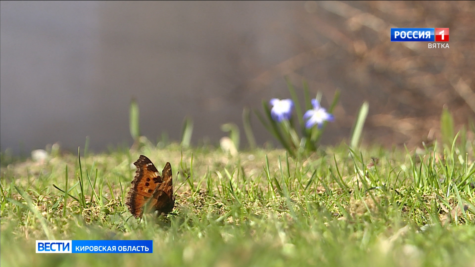 В пятницу в Кировской области обещают облачную погоду и кратковременные дожди