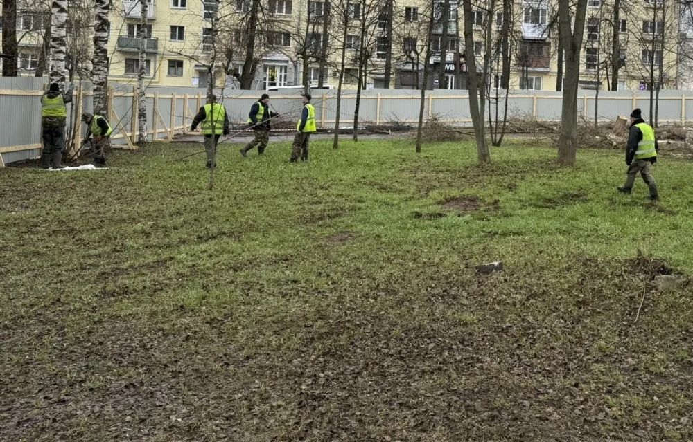 В Кирове на Аллее Славы высадят дубы и яблони