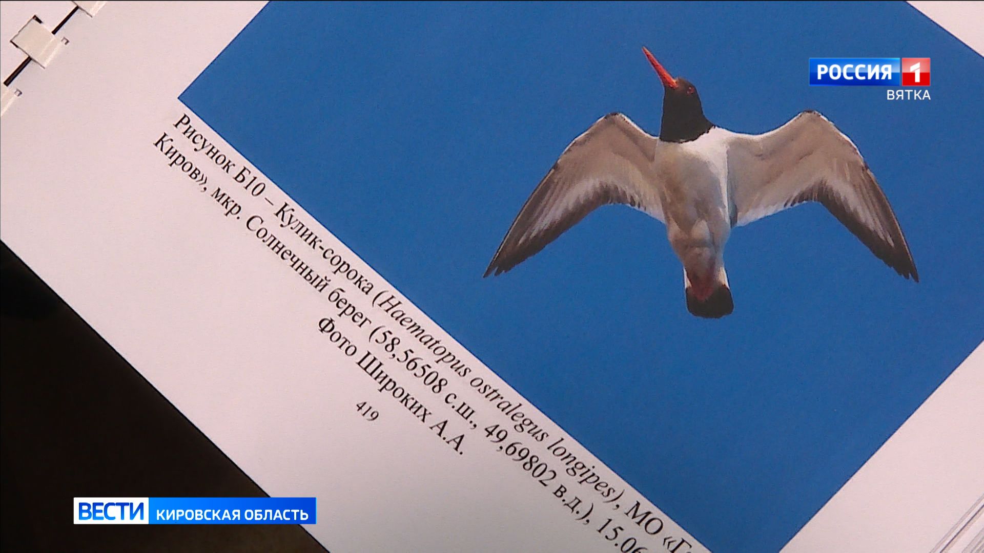 В регионе выпустят 2 тысяч экземпляров третьего издания Красной книги