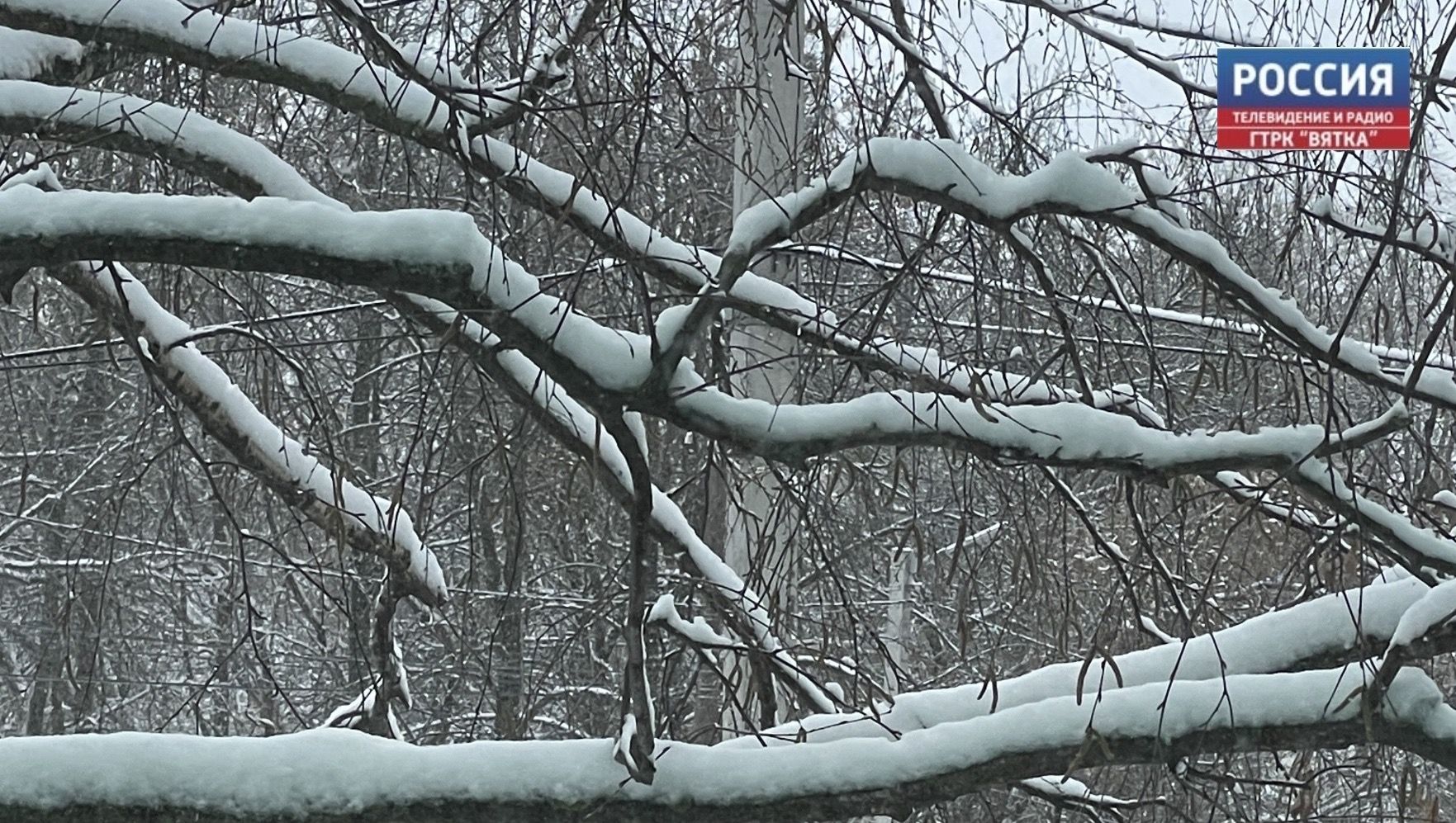 В понедельник в Кирове мокрый снег, гололедица и от 0 до  2