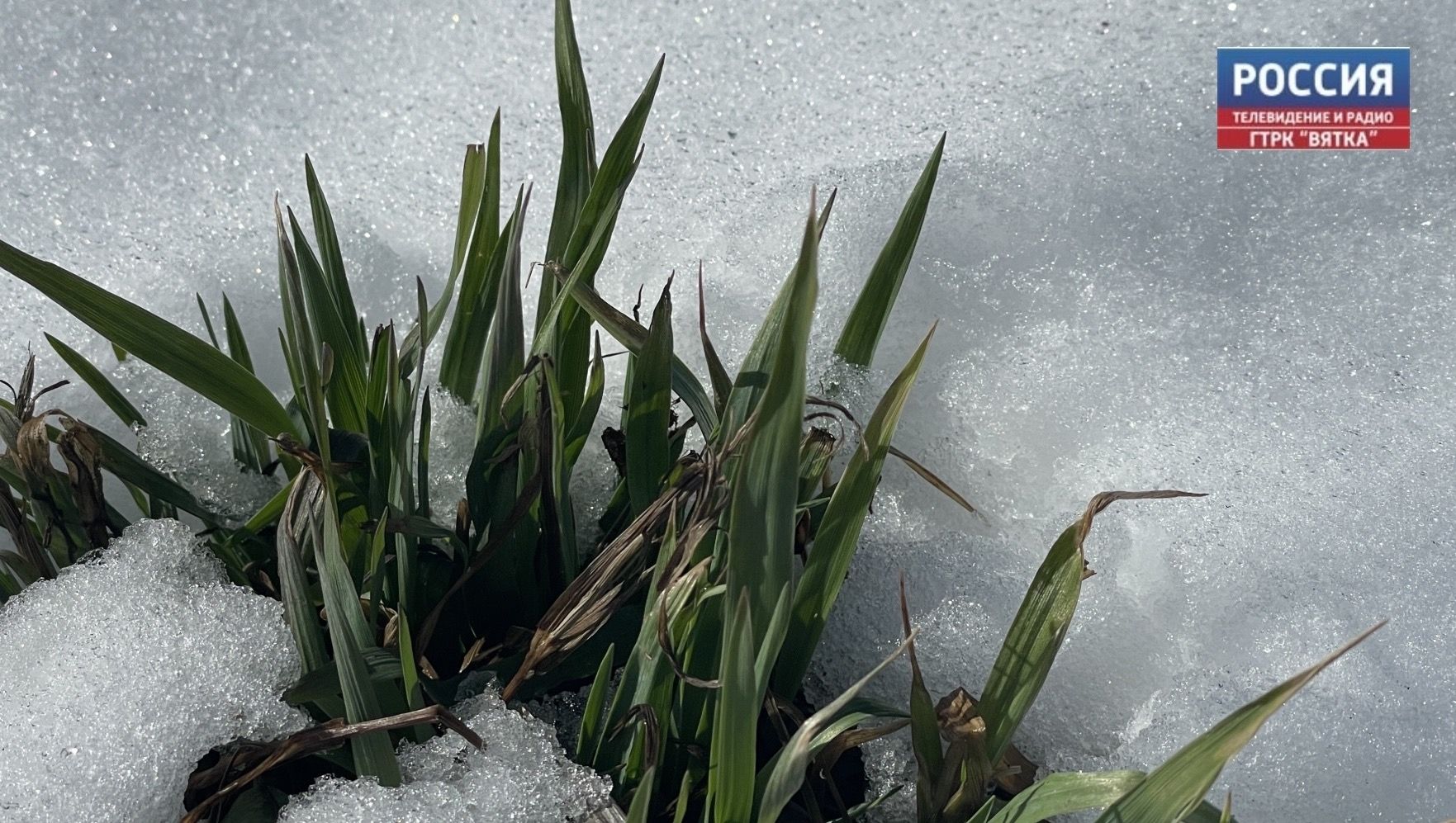 В среду в Кирове снова пасмурно и до  7