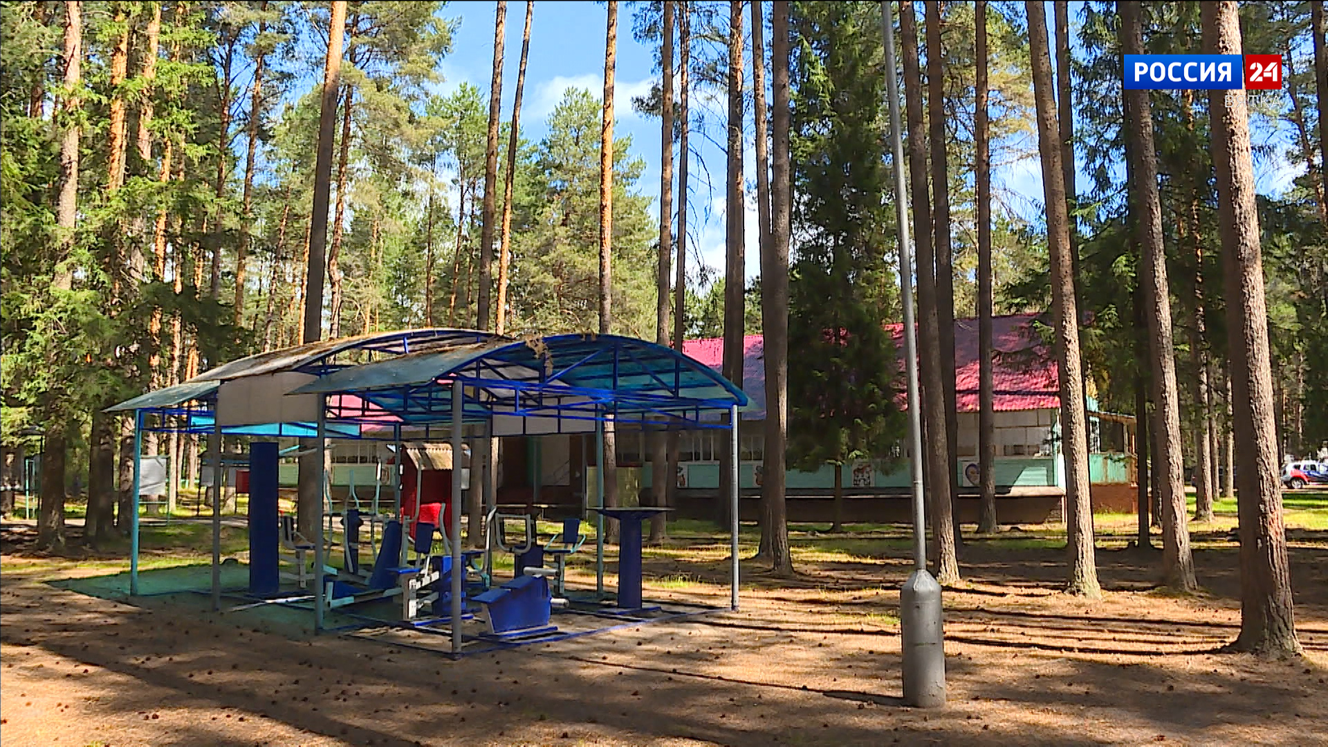 Центры «Мои документы» начали принимать заявки на отдых в загородных лагерях для детей участников СВО