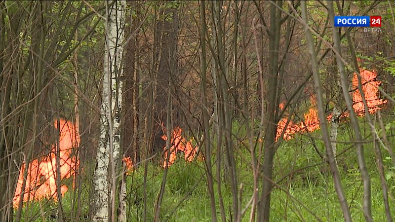 Пожароопасный сезон в регионе будет установлен в зависимости от погодных условий
