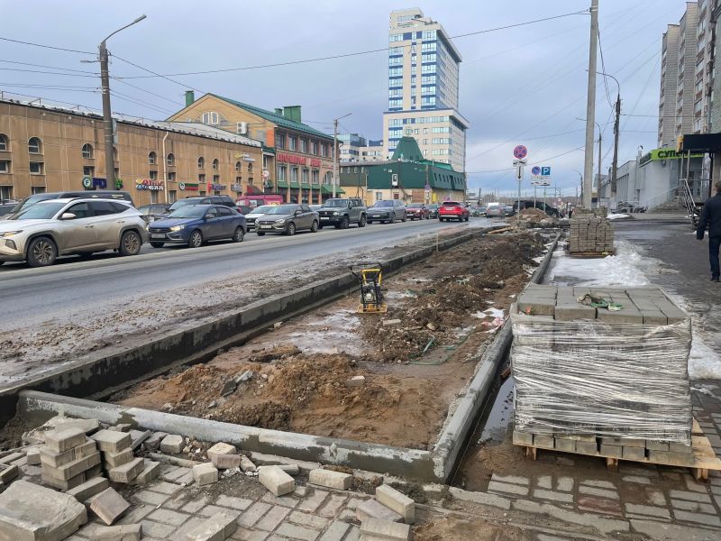 В Кирове на части пешеходной зоны на улицы Профсоюзной высадят кустарники