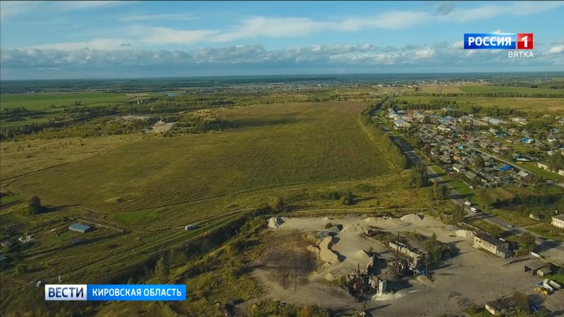 За выращивание шалфея предсказателей дачникам грозит штраф или уголовная ответственность