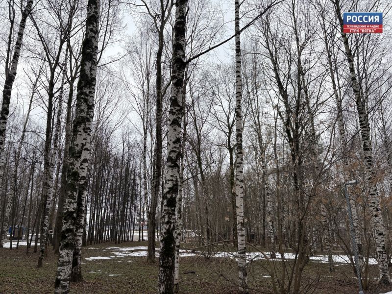 В субботу в Кировской области начнет теплеть и будет выглядывать солнце