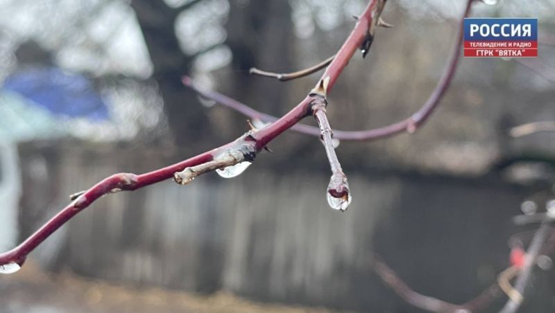 Дождь со снегом ожидается в воскресенье в Кировской области