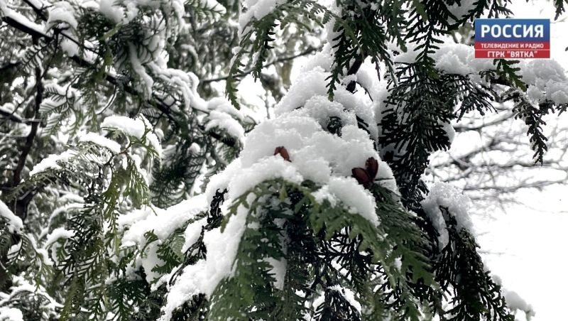 Слегка потеплеет: в среду в Кирове до  6 и небольшой снег