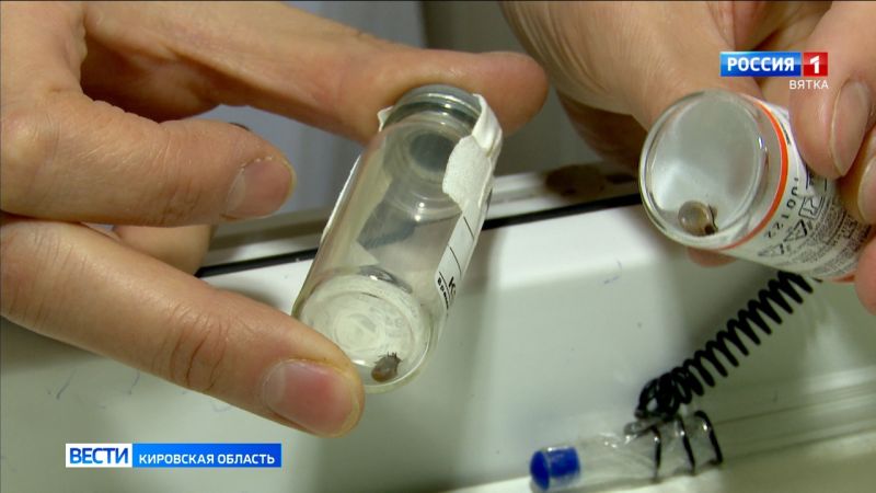 Кировчанам напоминают о безопасности при прогулках на природе