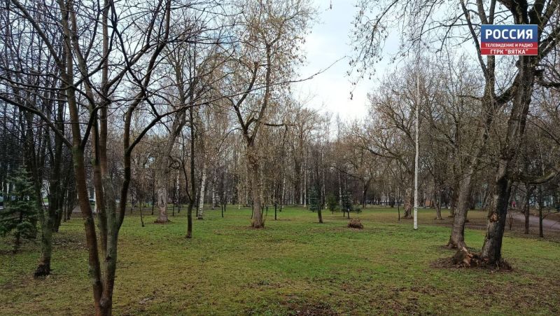 В воскресенье в Кировской области будет сухо и тепло